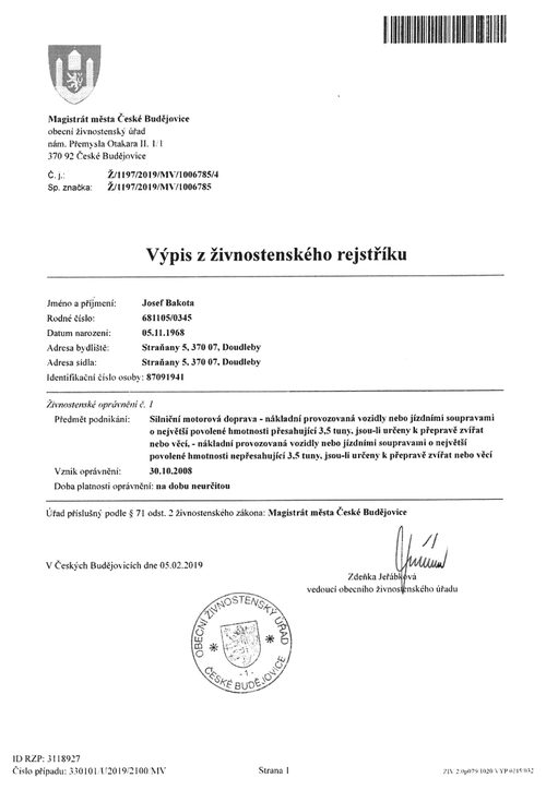 Výpis z rejstříku náhled